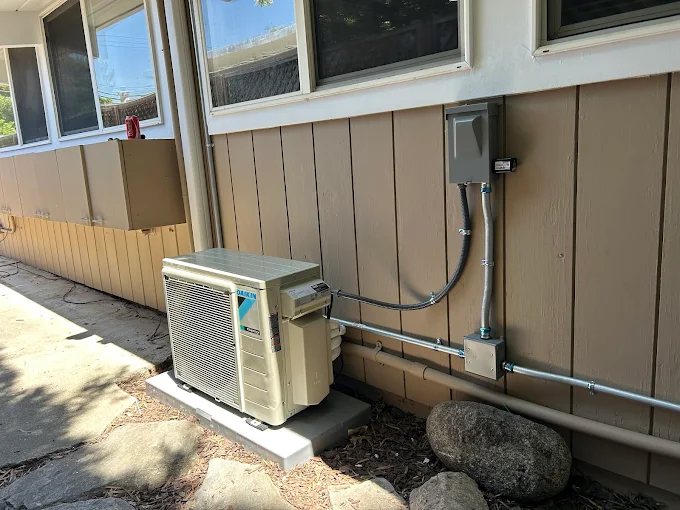 Specialized Services